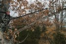 Hooyman 10 feet, extendible tree saw, folding saw