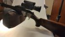 Pard NV008 LRF (with range finder) Day & Night rifle scope
