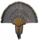 Turkey Tail & Beard Mounting Kit