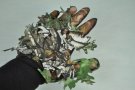 3D,lövcammo, camouflage handske,Hunters Specialities Leafy Gloves, long cuffs