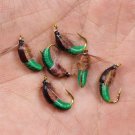 Nymph Scud Bug Caddis pupa, larvae flie