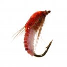 Nymph Scud Bug Caddis pupa, larvae flie