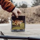 Greyoak Måltavla med djurmotiv