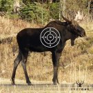 Greyoak Måltavla med djurmotiv