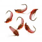 Nymph Scud Bug Caddis pupa, larvae flie