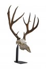 Dead on Display Desktop Mount