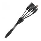 Audio and video cable for VIRB