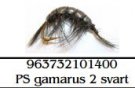 Winter Fly, Gammarus, schrimp, red, orange, Size 10