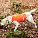 Hunting Gun Dog Waistcoat Reflect- Orange