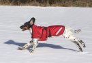Thermotic Unique dog thermal blanket