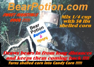 Bear potion, bete och lockmedel för