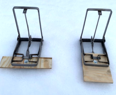 Trapper 90 Front - Genomgångs Fälla